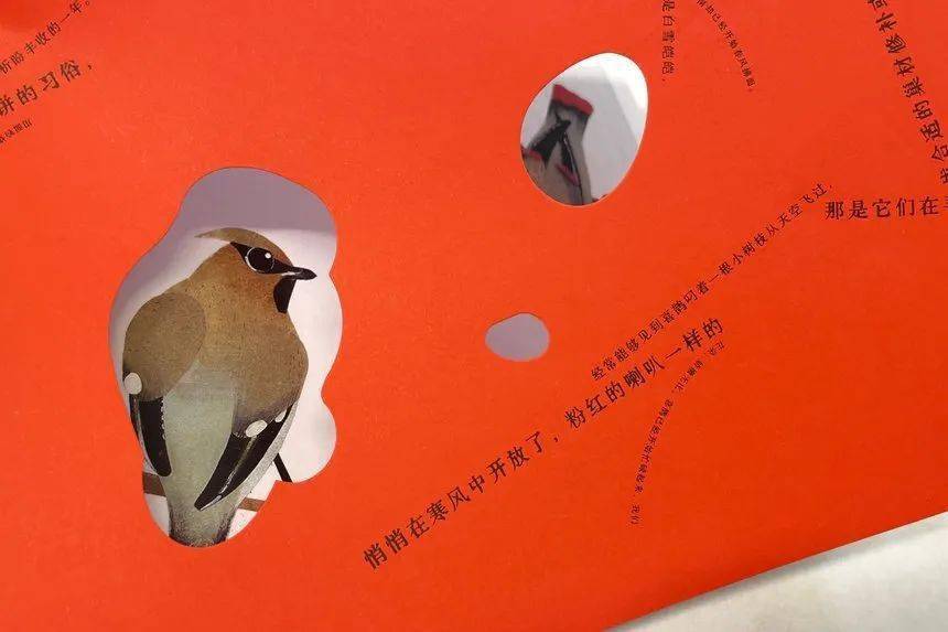 D&AD,創(chuàng)意,鉛筆 . D&AD獎 2022獲獎公布 中國區(qū)創(chuàng)意人共獲18支鉛筆